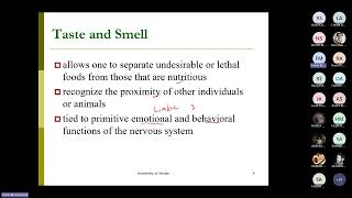 Neurophysiology L8 Gustatory and olfactory sensations and motor system Faisal Mohammed 20240518 1 [upl. by Teria]