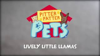 Pitter Patter Pets Lively Little Llamas [upl. by Wight856]