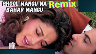 Phool Maangu Na Bahaar Maangu  Remix l  Alka Yagnik Udit Narayan  Madhuri Dixit  90s Hits 2024 [upl. by Bamford]