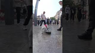 A dog skateboards on the pedestrian street and passersby are so surprised that they scratch the [upl. by Garap]