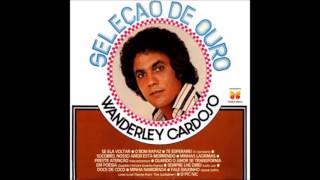 Wanderley Cardoso  Seleção De Ouro 1977 Full Album [upl. by Fillbert]