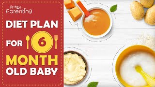 Diet Plan for a 6MonthOld Baby [upl. by Meenen]