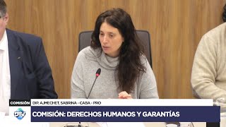 COMISIÓN COMPLETA DERECHOS HUMANOS Y GARANTÍAS  5 de junio de 2024  Diputados Argentina [upl. by Nabala]