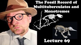 Lecture 69 The Fossil Record of Multituberculates and Monotremes [upl. by Kapoor650]