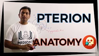 ANAHNB016 Pterion  Anatomy  Dr Prashant Sharma [upl. by Neral303]