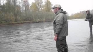 Middle Fork November Steelhead [upl. by Sibeal341]