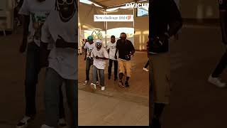 Family Dance Challenge 💯🇿🇦viralvideo dancechallenge trending [upl. by Vinay]