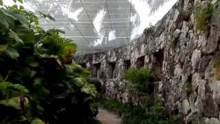 Xcaret Eco Theme Park Butterfly Pavilion [upl. by Madelene480]