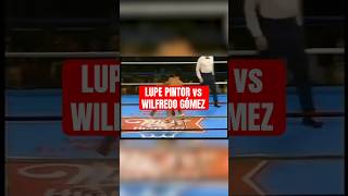 Lupe Pintor y Wilfredo Gómez una espectacular pelea de los 80’s 🥊 boxing boxeo [upl. by Atived366]