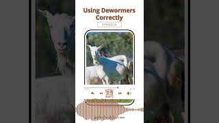 Using Dewormers Correctly [upl. by Kizzee]