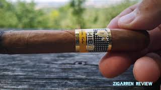 Cohiba Siglo II Zigarren Review [upl. by Noneek851]