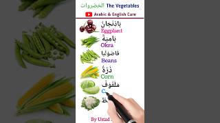 Vegetables names اسماء الخضروات english arabic learnenglish learning learnarabi vocabulary [upl. by Goles]