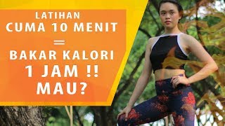 HIIT cardio  olahraga bakar lemak di seluruh tubuh 10 MENIT [upl. by Ahsemaj791]