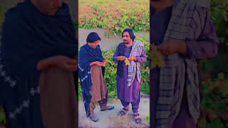 Samiullah selab song youtubeshorts shorts pashtosong ytshorts [upl. by Lyris]