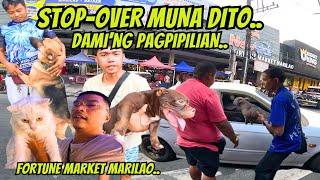 PET MARKET STOPOVER DITO SA MARILAO [upl. by Akinam734]