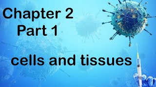 Chapter 2  Part 1 Cells amp Tissues [upl. by Liggitt]