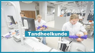 Bachelor in de tandheelkunde  Leuven  KU Leuven [upl. by Nidla233]