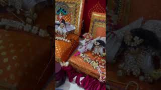 Ladoo Gopal’s group meet ❤️ladoogopal ladoogopaljishorts annakut ladoogopalvlogs kanha radhe [upl. by Caundra347]