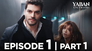 Yaban Çiçekleri Episode 1  Part 1 Subtitled in English YabanCicekleriEnglish [upl. by Malissa]