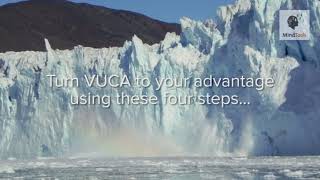 How to Manage in a VUCA World VideoNVL Sharing [upl. by Tebazile]