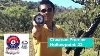 Prueba de velocidad  Diábolos Crosman Premier Hollow Point 22 [upl. by Norga]