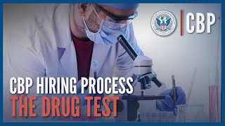 The Drug Test Updated Aug 2023  Hiring Process Deep Dive  CBP [upl. by Meelas]