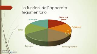 Apparato tegumentario [upl. by Haig]