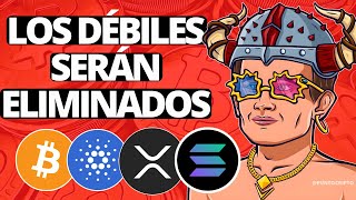 ✅NO ENTRES EN PÁNICO😱Noticias Criptomonedas HOYBitcoin Cardano Solana ETH XRP SHIB LINK AVAX [upl. by Simeon]