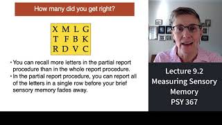 367 Lecture 92 Measuring Sensory Memorys Capacity and Duration [upl. by Damon]