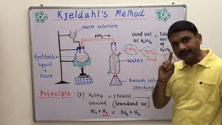 Estimation of Nitrogen by Kjeldahls Method  Quantitative Analysis [upl. by Turmel692]