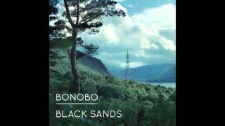 Bonobo  06 We Could Forever Black Sands [upl. by Mac611]