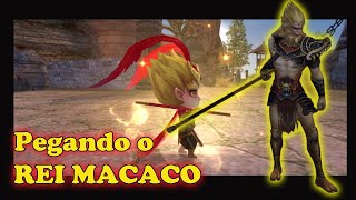 Pegando o Rei Macaco e Upando Rápido [upl. by Rehpotsrihc]