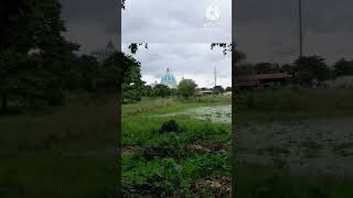 World begets temple 🛕  mayapur iscon  ❤️ 😍 [upl. by Ecissej]