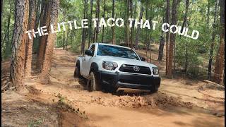 Taking my Daily Work Truck OffRoad  Toyota Tacoma 4x4 Regular Cab [upl. by Stier135]