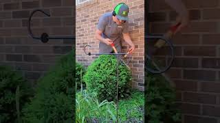 The Absolute WORST Way to Trim a Boxwood Shrub Or the Best🌳 boxwood [upl. by Lacy]