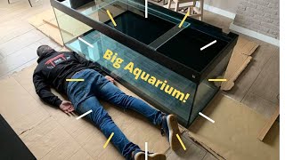 vlog 2 groot aquarium plaatsen trofis Colisa A1800 [upl. by Colon355]