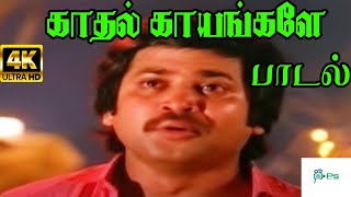 Kadhal Kayangale Neengal  காதல் காயங்களே  K J YesudasMalaysia Vasudevan  Love Sad Song [upl. by Elehcar]