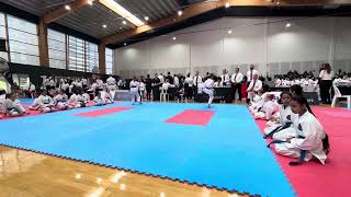 GKR Karate World Cup  Kata Round 1 [upl. by Renckens]