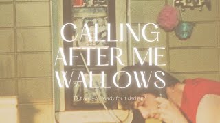 แปลไทย  Lyrics  Wallows  Calling After Me [upl. by Ludeman]