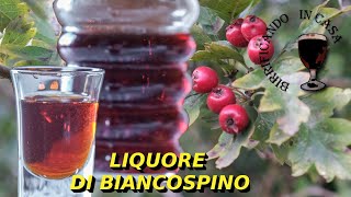 Liquore al biancospino fatto in casa [upl. by Lovel]