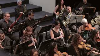 9na Sinfonía Beethoven │ORQUESTA SINFONICA UNT │ 1º 2º Y 3º Mov [upl. by Yramesor]