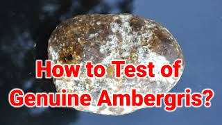 How to Test of Genuine Ambergris newssahaba1992 [upl. by Betta]