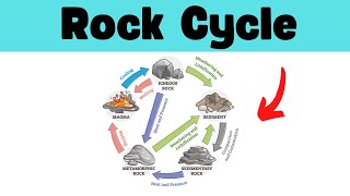 Rock Cycle Diagram [upl. by Ellohcin]