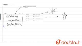 Triploblastic animals primarily shows  11  ANIMAL KINGDOM  BIOLOGY  A2Z  Doubtnut [upl. by Nolur]