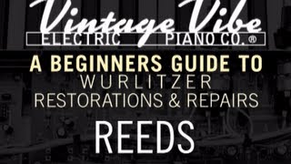 A Beginners Guide to Wurlitzer Restorations amp Repairs Reeds [upl. by Imtiaz417]