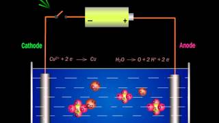 Class XIXII  Electrolysis of Aq CuSO4 Using Inert Electrode  Dr Amal K Kumar [upl. by Anilys385]