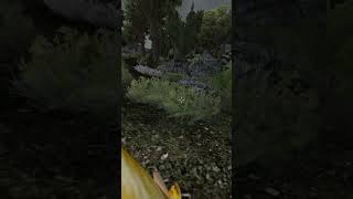 Killing the adoring fan in Morrowind every day until Skywind and Skyblivion are released Day  711 [upl. by Marentic969]