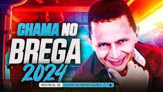 Zé Armando E Seus Teclados Chama na Musica Brega 2024 [upl. by Ystap804]