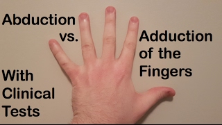 Abduction vs Adduction Flexion vs Extension and Opposition of the Thumb [upl. by Comyns]