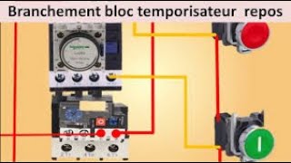 temporisateur avec lampe et contacteur [upl. by Nyleuqcaj]